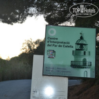 фото из отзыва ID 1579964