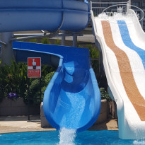 фото из отзыва ID 1579977