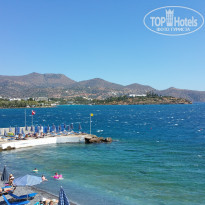 фото из отзыва ID 1573607