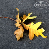 фото из отзыва ID 1579344