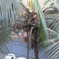 фото из отзыва ID 1576625