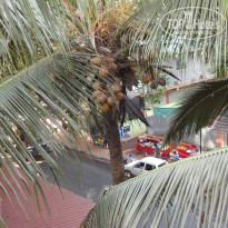 фото из отзыва ID 1576625