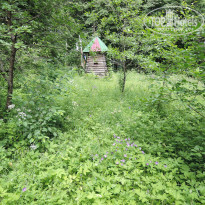 фото из отзыва ID 1578667