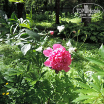 фото из отзыва ID 1578667