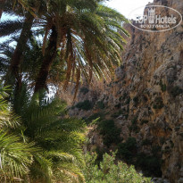 фото из отзыва ID 1575355