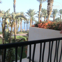 фото из отзыва ID 1578924