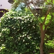 фото из отзыва ID 1576568