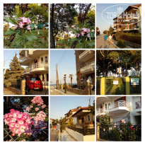 фото из отзыва ID 1580141