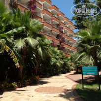 фото из отзыва ID 1580215