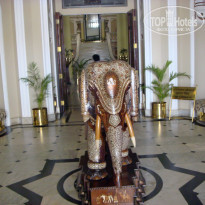 фото из отзыва ID 1580297