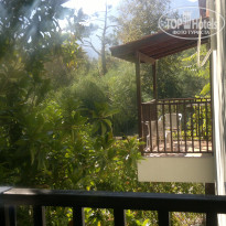 фото из отзыва ID 1580404