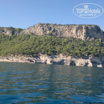 фото из отзыва ID 1580404