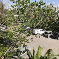 фото из отзыва ID 1580469