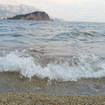 фото из отзыва ID 1580470