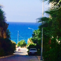 фото из отзыва ID 1580839