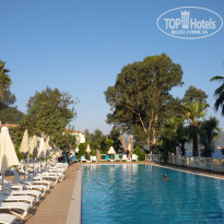 фото из отзыва ID 1580855