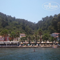 фото из отзыва ID 1580855