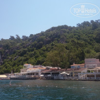 фото из отзыва ID 1580855