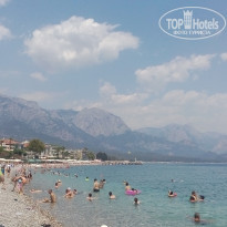 фото из отзыва ID 1580877