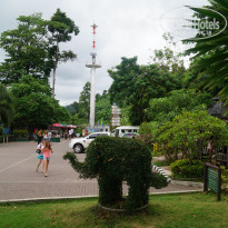 фото из отзыва ID 1580894