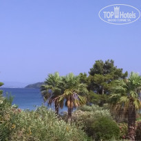 фото из отзыва ID 1580989