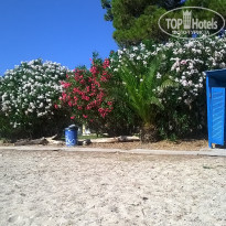 фото из отзыва ID 1580989