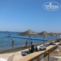 фото из отзыва ID 1581250