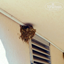 фото из отзыва ID 1581298