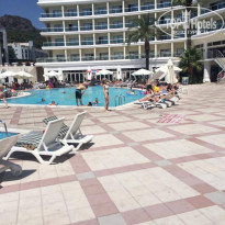 фото из отзыва ID 1581377