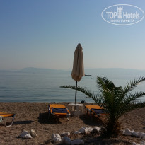 фото из отзыва ID 1581585