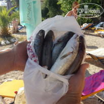 фото из отзыва ID 1581585