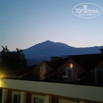 фото из отзыва ID 1581649