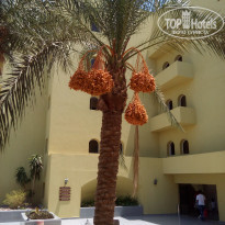 фото из отзыва ID 1581778