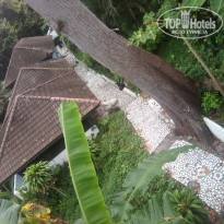 фото из отзыва ID 1581240