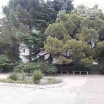 фото из отзыва ID 1581982