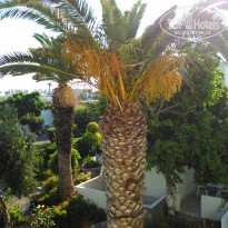 фото из отзыва ID 1581985