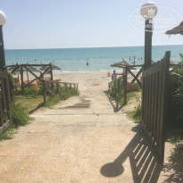 фото из отзыва ID 1582042