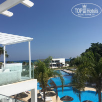 фото из отзыва ID 1582054