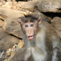 фото из отзыва ID 1582028