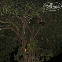 фото из отзыва ID 1582028