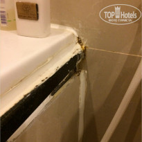 фото из отзыва ID 1582067