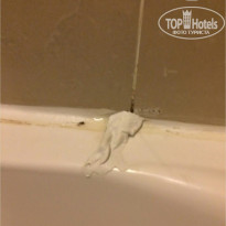 фото из отзыва ID 1582067