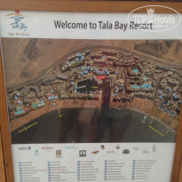 фото из отзыва ID 1582075