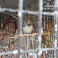 фото из отзыва ID 1582137