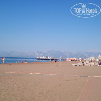 фото из отзыва ID 1582274