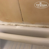 фото из отзыва ID 1582286