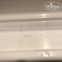 фото из отзыва ID 1582286