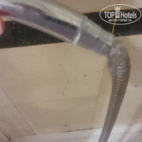 фото из отзыва ID 1582964