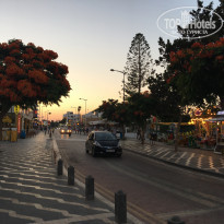 фото из отзыва ID 1583178