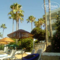 фото из отзыва ID 1582072